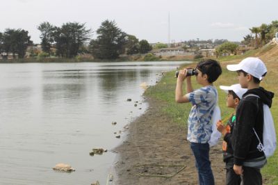 Una de las secciones del juego es la Cucapedia, que se puede utilizar en los paseos por estos lugares para ir reconociendo especies en terreno o ver qué tipo de amenazas hay en un humedal.