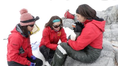 La investigación analiza el ADN de distintas especies para determinar el comportamiento evolutivo y diversificación de la biodiversidad marina en estos ecosistemas.