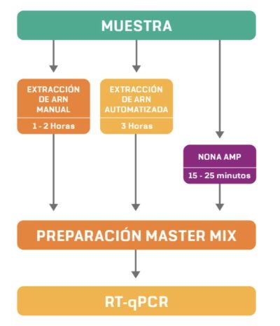 Nona Amp acorta los tiempos de diagnósticos para COVID-19.