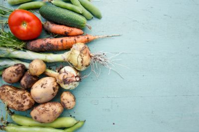 En Latinoamérica es urgente la necesidad de afrontar la malnutrición en todas sus formas, sobre todo cuando se habla de injusticias asociadas al sistema alimentario.