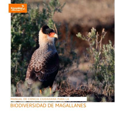 La descarga del Manual de Ciencia Ciudadana para la Biodiversidad de Magallanes es completamente libre y gratuita.