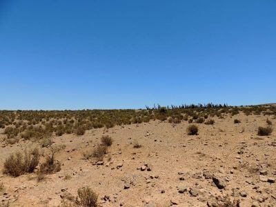 Un sector intensamente degradado en la Región de Coquimbo, donde se observa disminución del matorral bajo.