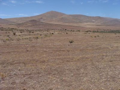 En los llanos entre Copiapó y Vallenar, en la Región de Atacama, llueve aproximadamente solo 30 ml en promedio anual.