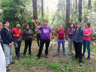 El verano pasado, el profesor Gutiérrez enseñó sobre dinámicas vegetacionales a un grupo de estudiantes de postgrado, chilenos y extranjeros, en la Región de los Lagos.