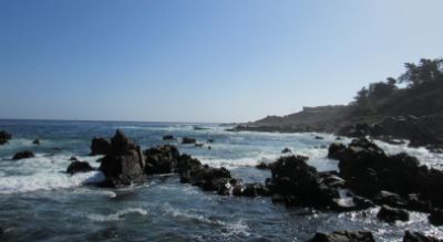 La educación ambiental y la participación ciudadana permitirá generar voluntades y actitudes hacia la protección y conservación de la Naturaleza para beneficio de todas y todos.