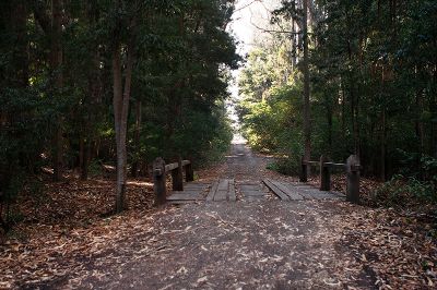 El hábitat puede sufrir impacto por la deforestación, el crecimiento urbano y el cambio de uso de suelo por ejemplo.