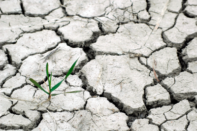 El Acuerdo de Escazú se ha posicionado como uno de los instrumentos ambientales más importantes de la región, debido a su compromiso en derecho ambiental.