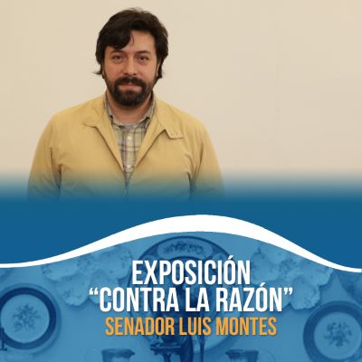 El Senador Luis Montes es artista visual y académico de la Facultad de Artes.