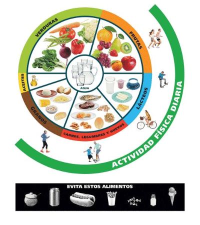 Chile cuenta con Guías Alimentarias desde 1997, y desde entonces esta herramienta ha sido desarrollada por el Instituto de Nutrición y Tecnología de los Alimentos (INTA) de la U. de Chile.