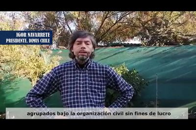 Igor Navarrete, es presidente de la Asociación de Distrofia Muscular (Dimus) Chile, desde el 2016.