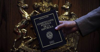 "Se podría establecer una defensoría ambiental. Creo que la Constitución debiese dar los grandes marcos para eso, porque hay problemas de acceso a la justicia ambiental", propone la académica.