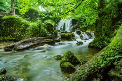 Este 21 de junio, el Centro de Derecho Ambiental lanzará el Observatorio Constitucional Ambiental, que busca hacer un seguimiento sobre esta temática en la Convención Constitucional.