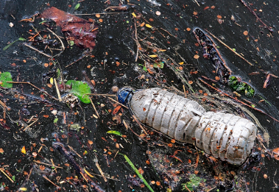 En Chile se han promulgado una serie de leyes que buscan mitigar y generar conciencia sobre la contaminación en el medio ambiente, siendo la nueva normativa un nuevo avance legislativo.