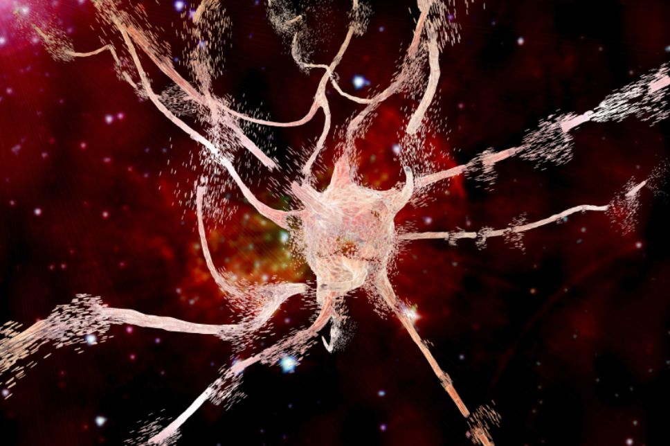 Las demencias neurodegenerativas son una serie de enfermedades que causan un deterioro lento y progresivo de las funciones cerebrales.