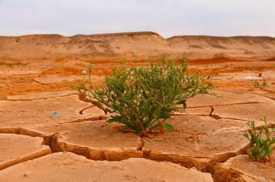 Según el VI informe IPCC, el cambio climático es generalizado y se está intensificando con el paso de los años, siendo el factor humano el principal desencadenante de esta situación.