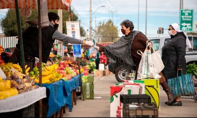 El curso busca dar a conocer cuáles son los principales impactos de la alimentación en la vida de las personas, tanto positivos como negativos.