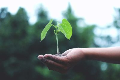 "La fase biofísica del cambio climático", "Mitigación del cambio climático", "Adaptación al cambio climático" y "Desarrollo sostenible" son los cuatro módulos del programa.