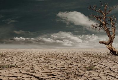 Los contenidos de este curso gratuito y abierto a la comunidad fueron formulados por el Centro de Ciencia del Clima y la Resiliencia (CR)2 de la Universidad de Chile, junto a otras instituciones.