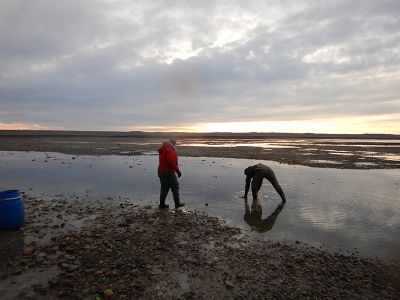 La investigación tuvo como objetivo identificar los patrones de distribución genética de microorganismos en el Océano Austral, específicamente bacterias presentes en el intestino de erizos de mar.