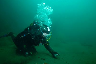 Para ello, recolectaron muestras desde puntos de los mares antárticos y subantárticos distantes entre sí, específicamente de la Patagonia, de la Península Antártica y de las islas Kerguelen.