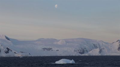 Si el calentamiento global altera el frente polar podría afectar la diversidad de la zona. "Por lo cual, algunas poblaciones podrían desaparecer aunque otras se favorezcan", señala la investigadora.