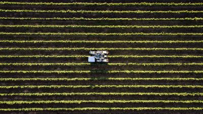 La formación de futuros profesionales en sistemas sostenibles, que optimicen y estabilicen las producciones agrícolas en los territorios, resulta fundamental en el contexto actual.