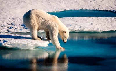 El Pleno del órgano constituyente aprobó que toda la redacción de la nueva Carta Fundamental debe tener presente un contexto de Emergencia Climática y Ecológica.