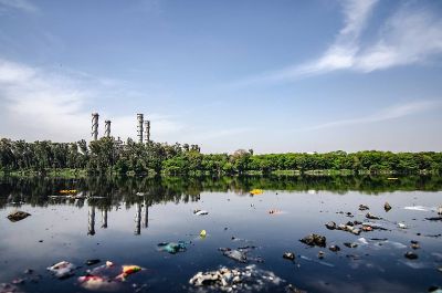 En las distintas comisiones se han expuesto temáticas relativas a derechos y deberes medio ambientales, pero también contenidos relativos a una nueva institucionalidad ambiental.