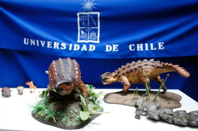 El hallazgo representa un verdadero eslabón evolutivo entre los anquilosaurios y otros linajes más antiguos de dinosaurios acorazados, por lo que es calificado como la "Piedra Rosetta" de este grupo.