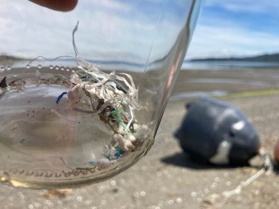 El proyecto busca medir la contaminación por microplásticos y toxinas emergentes en Chiloé para entregar información confiable a las autoridades y apoyar la toma de decisiones.