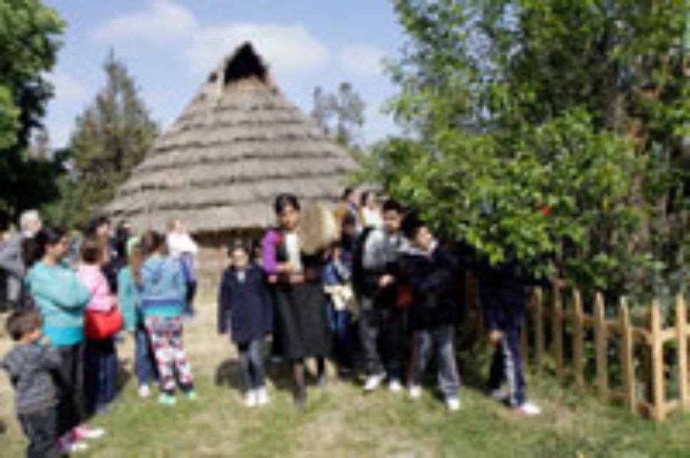 La ruka mapuche de la Facultad de Cs. Veterinarias y Pecuarias.