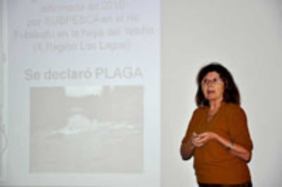 Prof. Vivian Montecino Banderet