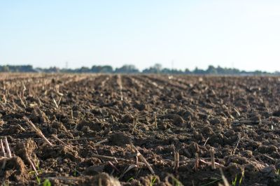 Cada 5 de diciembre se conmemora el Día Mundial del Suelo buscando realzar la importancia de la gestión sostenible de sus recursos en el desafío del cambio climático.