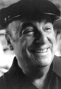 Esta iniciativa, tiene por fin crear un espacio de investigación, docencia, extensión y difusión de la poesía de Pablo Neruda, en particular, y de la poesía chilena en general