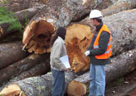 El aprovechamiento sustentable de los recursos forestales fue uno de los principales temas del encuentro.