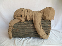 Obra de Paola Santander